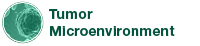 Tumor Microenvironment