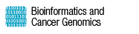 Bioinformatics and Cancer Genomics