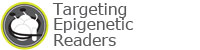 Targeting Epigenetic Readers