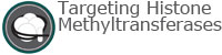 Targeting Histone Methyltransferases