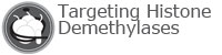 Targeting Histone Demethylases