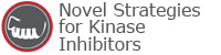 Novel Strategies for Kinase Inhibitors