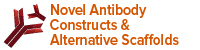 Novel Antibody Constructs and Alternative Scaffolds