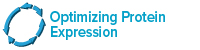 Optimizing Protein Expression