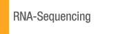 RNA-Seq and Transcriptome Analysis