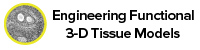 Engineering Functional 3-D Tissue Models