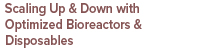 Scaling Up & Down with Optimized Bioreactors & Disposables