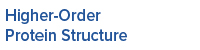 Higher-Order Protein Structure