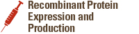 Recombinant Protein Expression and Production	