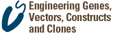 Engineering Genes, Vectors, Constructs and Clones	